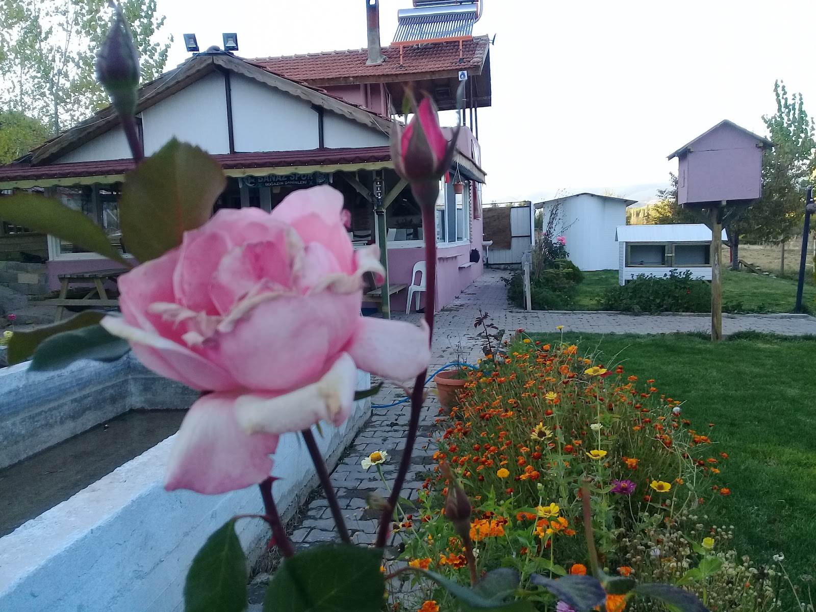 Cevizlibahçe Balık Restorantı — fotoğraf