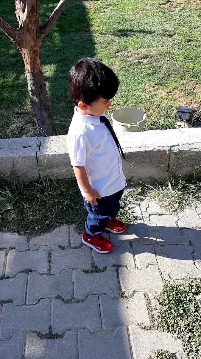 Cevizlibahçe Balık Restorantı — fotoğraf 3