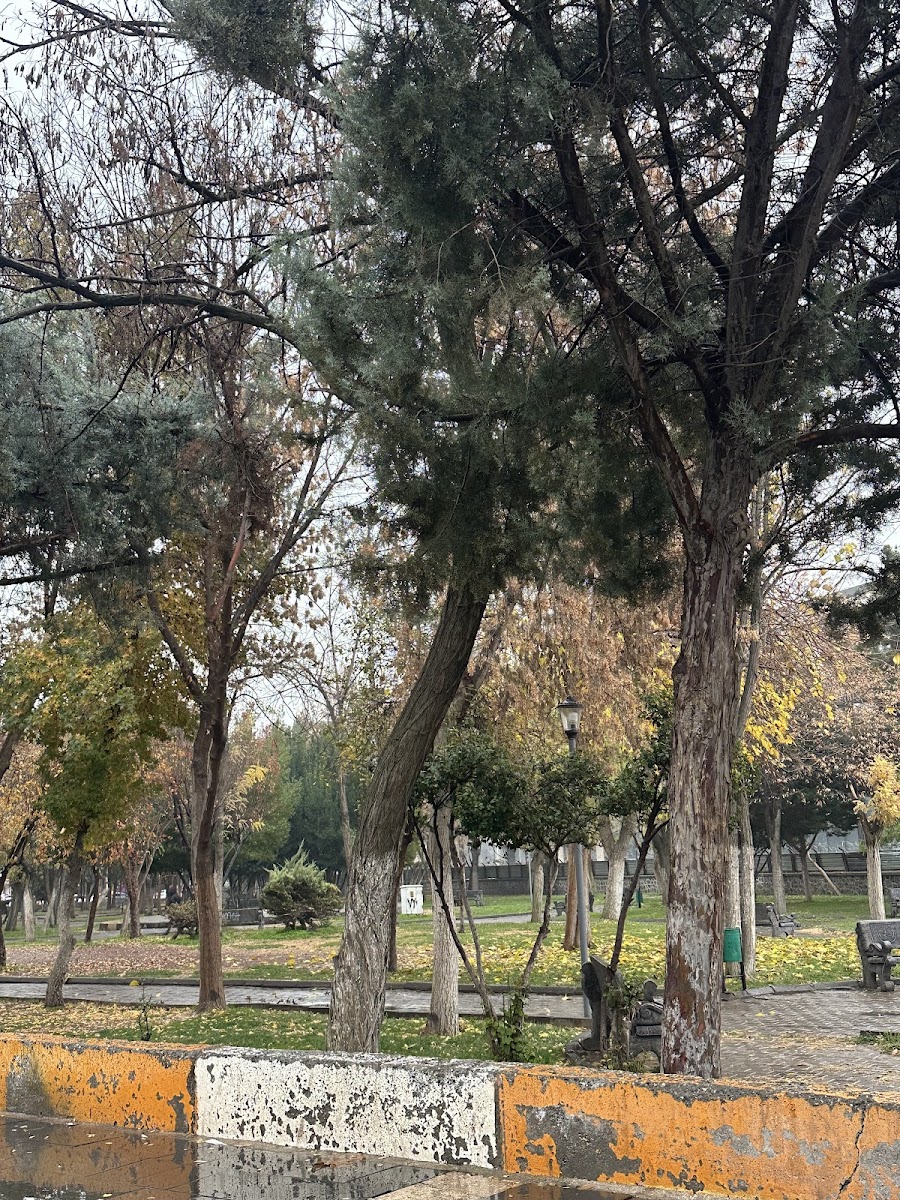 Ceylan Parkı — fotoğraf