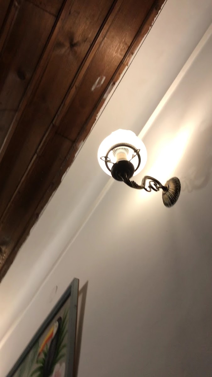 CHOCOFLY — fotoğraf 3