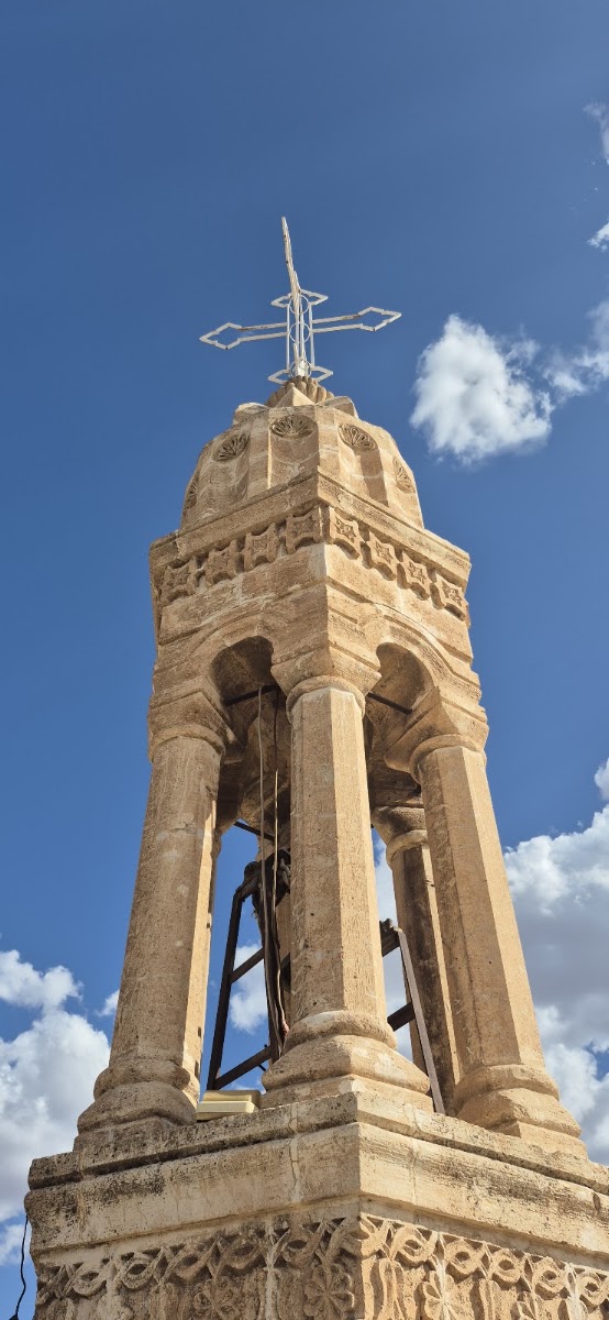 Mor Dodo — fotoğraf