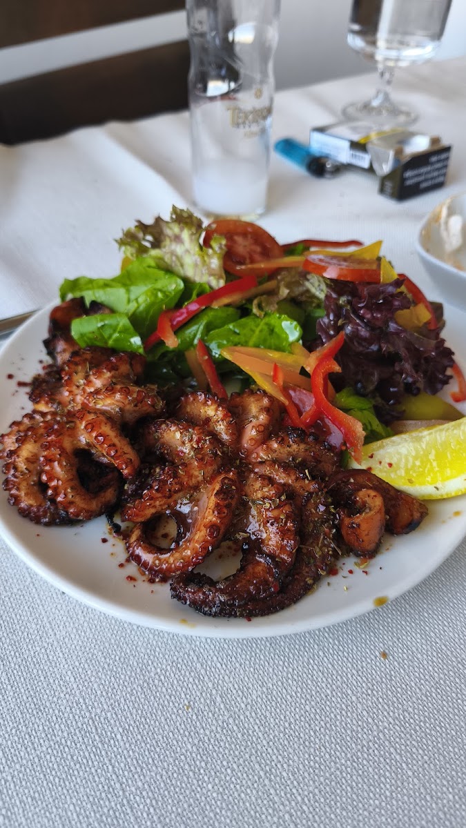 Cibalikapı Balıkçısı Haliç — fotoğraf 2
