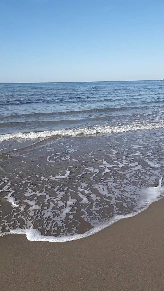 Cide Halk Plajı — fotoğraf 3