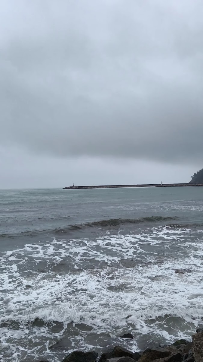 Cide Sahili — fotoğraf 2
