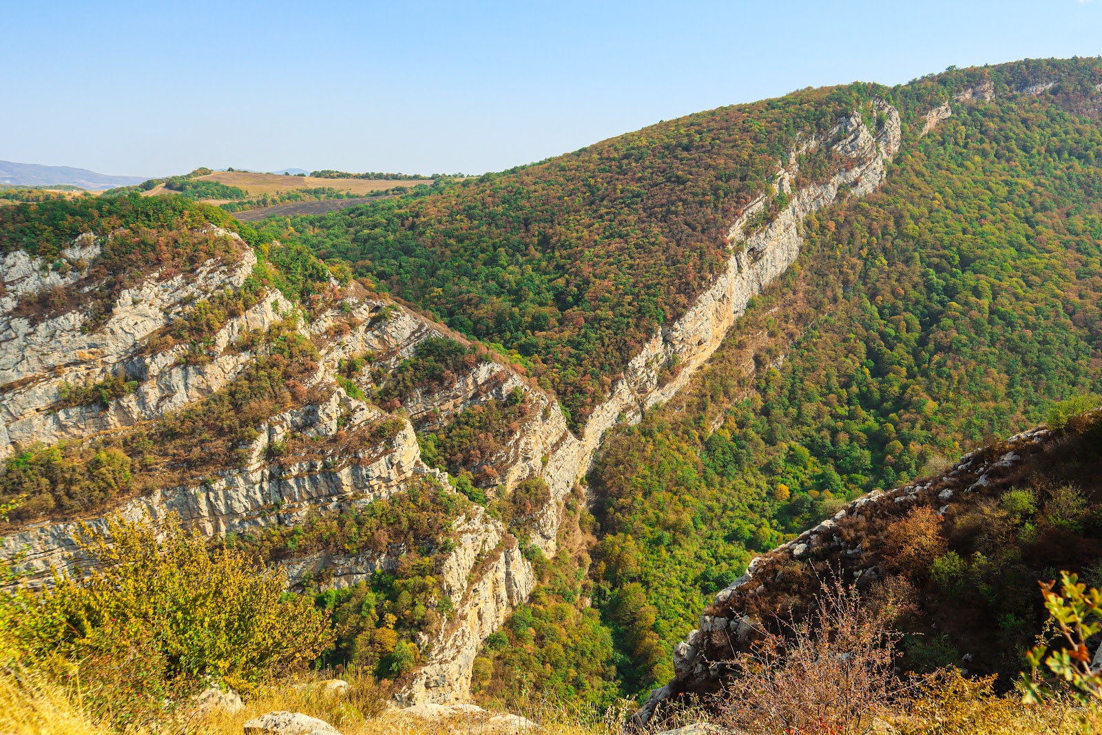 Cıdırdüzü — photo 4