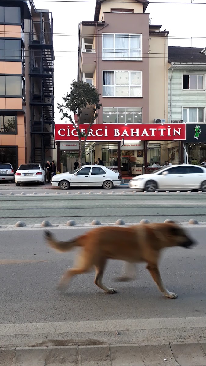 Ciğerci Bahattin — fotoğraf 3