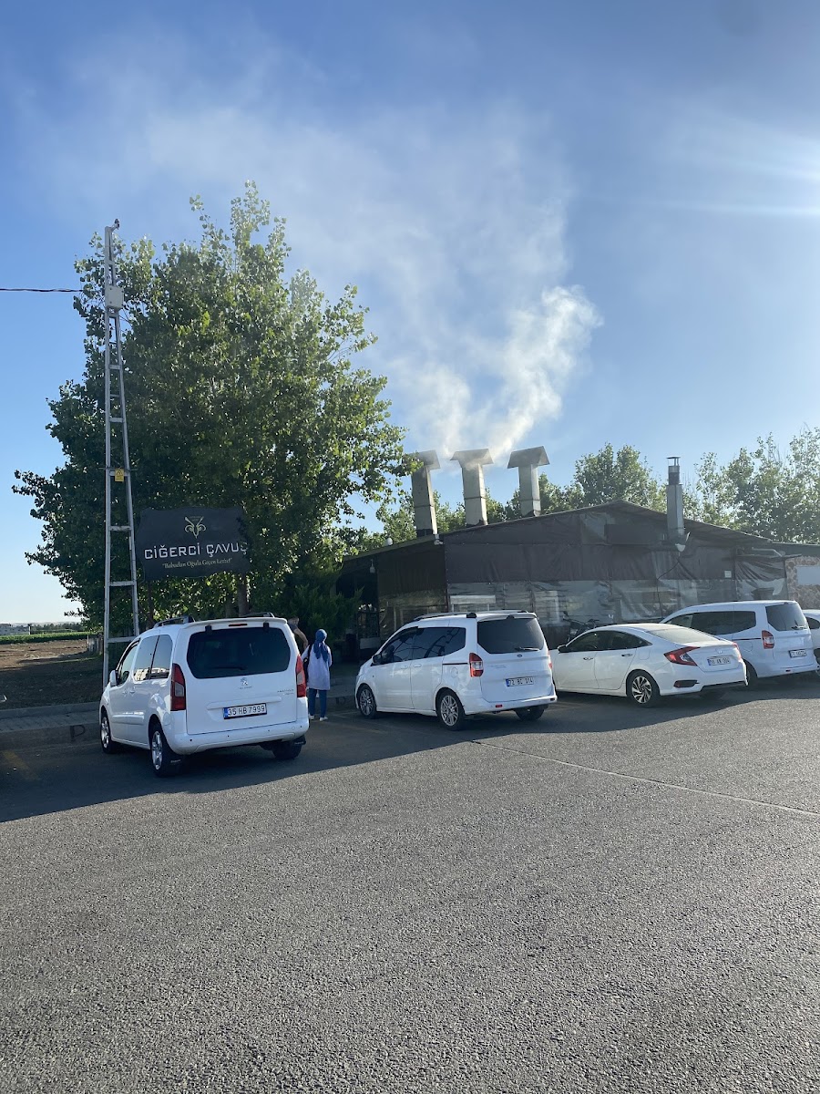 CİĞERCİ ÇAVUŞ — fotoğraf 8