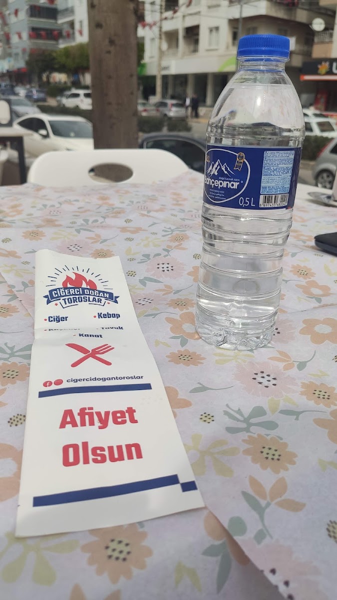Ciğerci Doğan (Anıt şubesi) Doğan Özgişi — photo 4