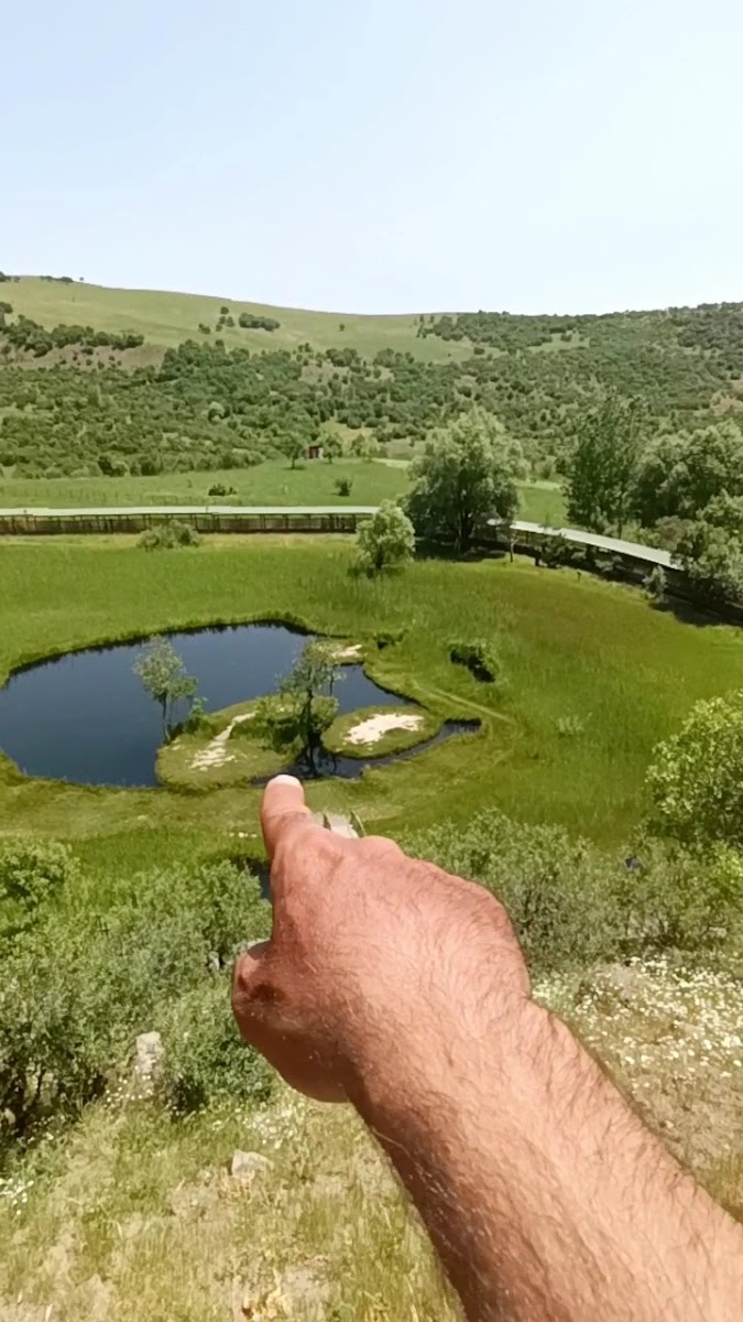 Ciğerci Osman — fotoğraf 3