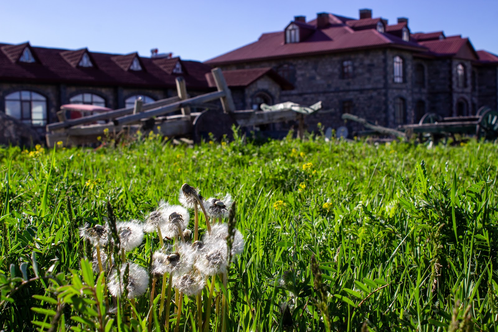 Taş Konak Çıldır Gölü (Çıldır Gölü Konağı) - Lake Cildir Lodge — fotoğraf 5