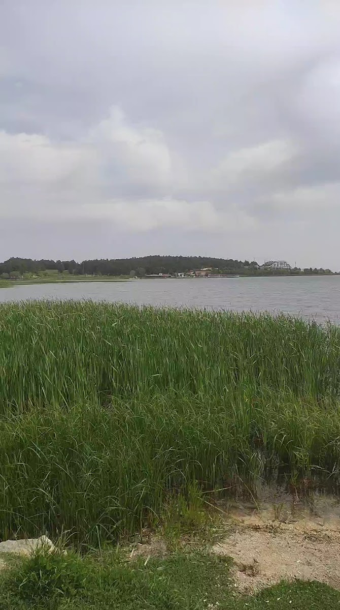 ÇINAR BAHÇE GÖLPARK — fotoğraf 3