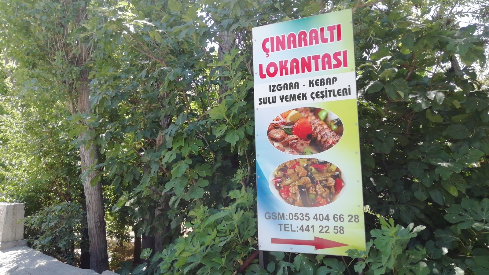 Çınar Lokantası — photo 3