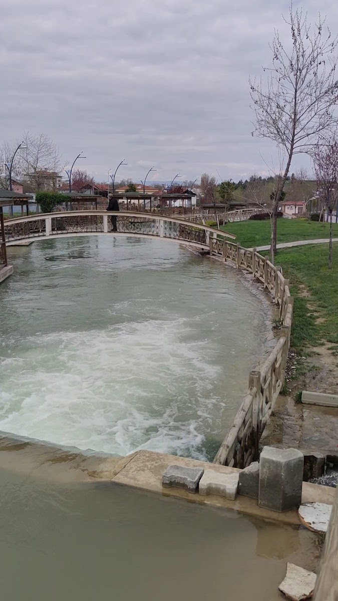 Çınar park — fotoğraf 2
