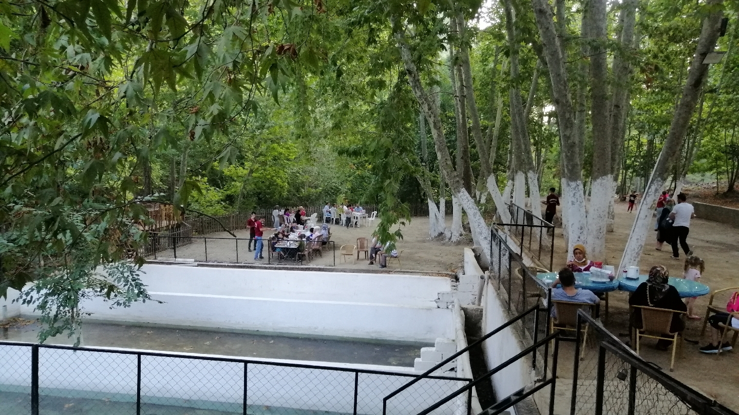 Çınaraltı Alabalık restorant — fotoğraf