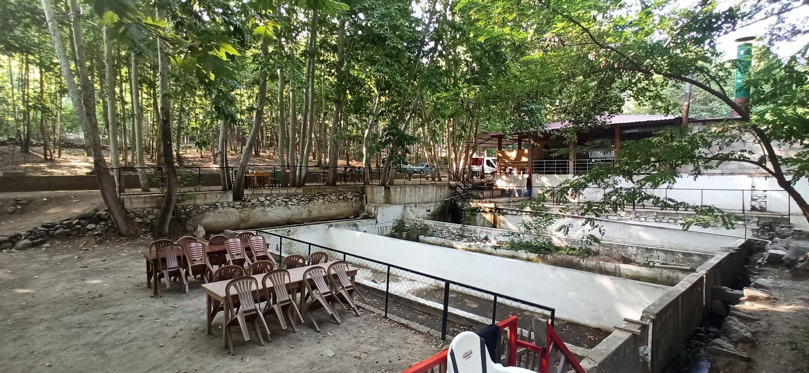 Çınaraltı Alabalık restorant — fotoğraf 5