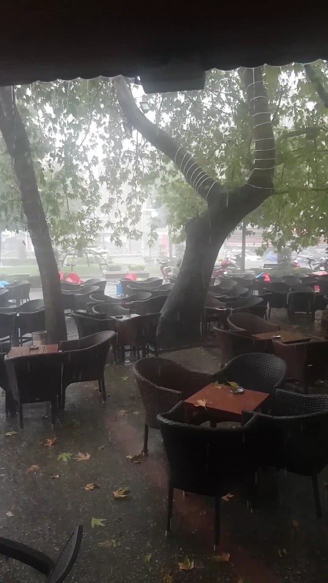 Çınaraltı Cafe — fotoğraf 3