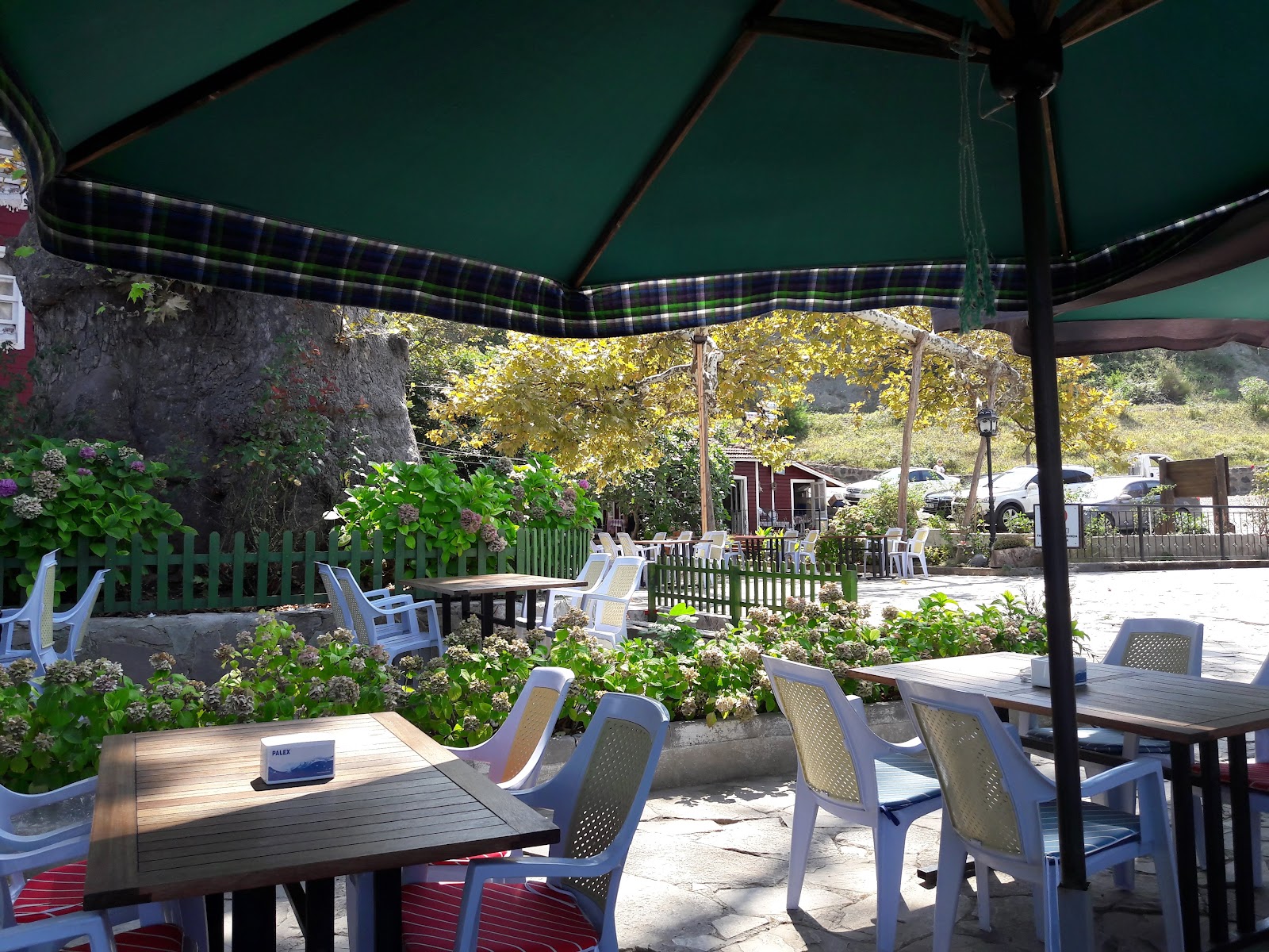 Çınaraltı İskele Cafe Bozkurt/Beldeğirmen Köyü — photo 2