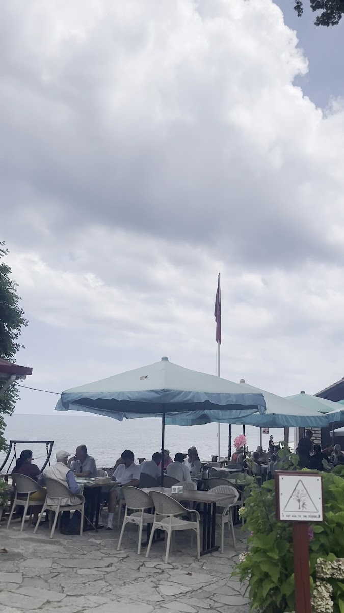 Çınaraltı İskele Cafe Bozkurt/Beldeğirmen Köyü — photo 3