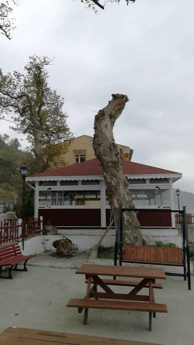 Çınaraltı İskele Cafe Bozkurt/Beldeğirmen Köyü — photo 3