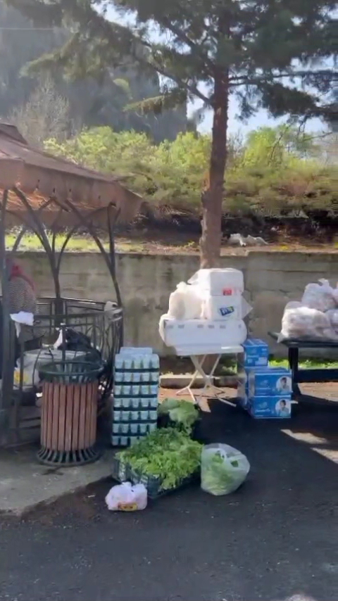 Çınaraltı Kafe — fotoğraf 3
