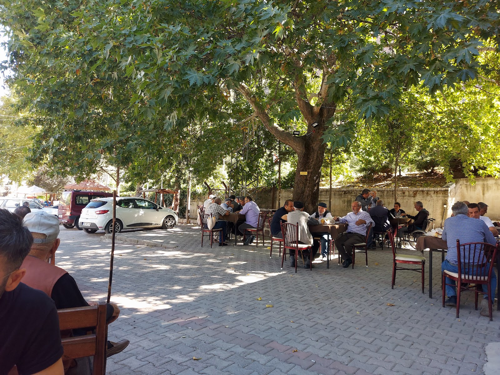 Çınaraltı Kafe — fotoğraf 4
