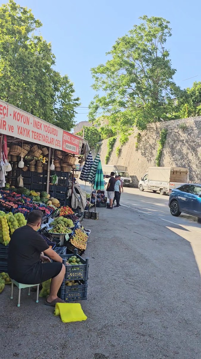 Çınaraltı Park Lokantası — fotoğraf 3