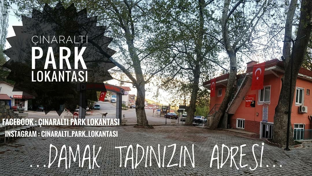 Çınaraltı Park Lokantası — photo 5