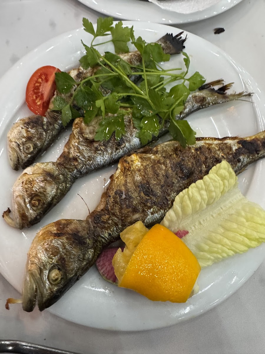 Çınaraltı Restoran — fotoğraf 10