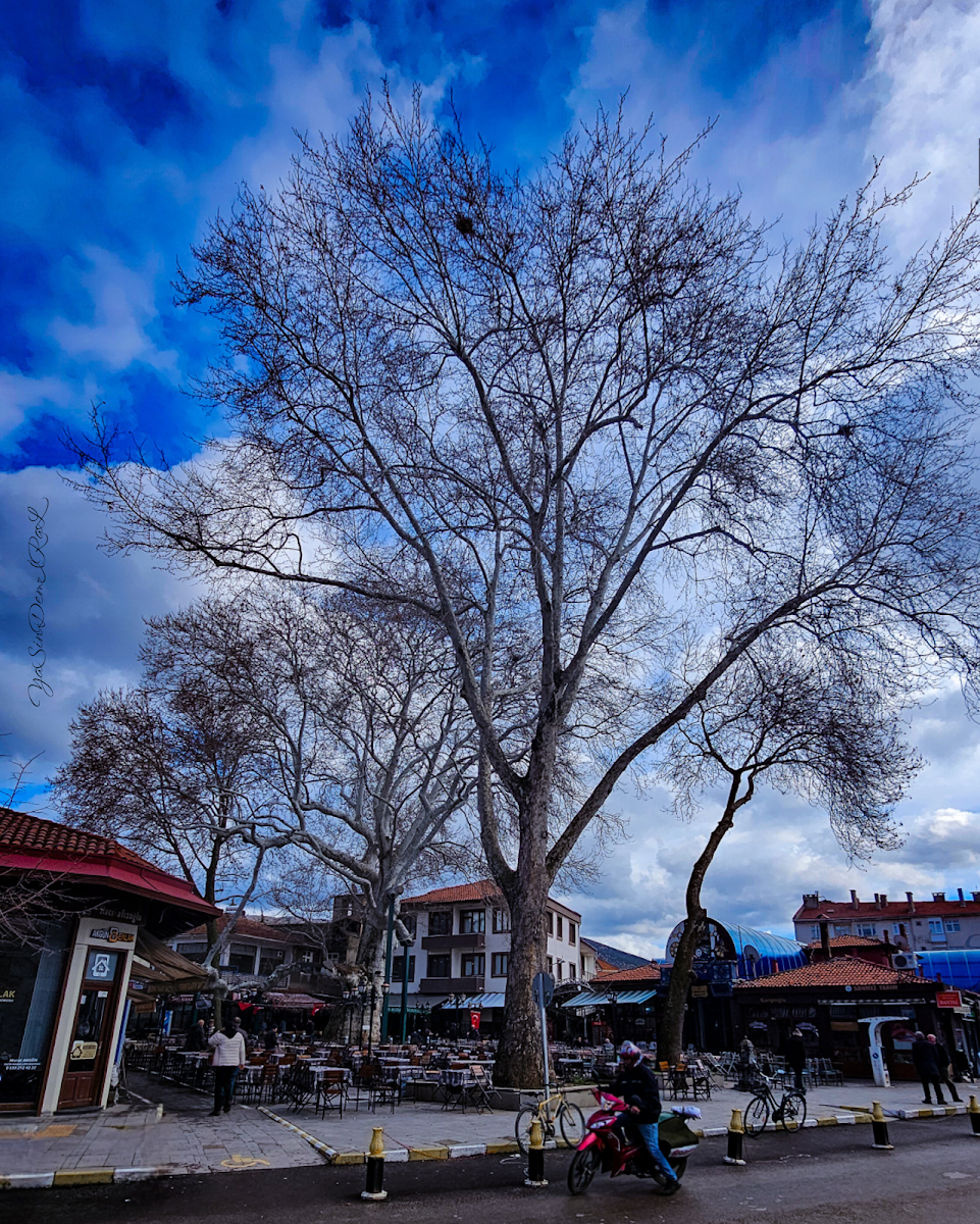 Çınaraltı — fotoğraf 2