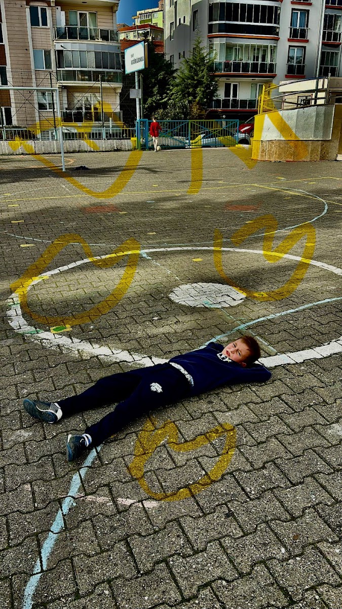 Çınarlı Bahçe Sinop Kahvaltı Restoranı&Bungalov Konaklama — fotoğraf 2