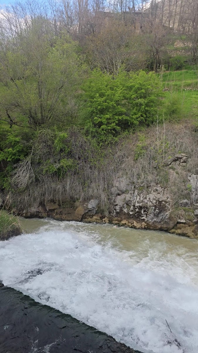 Çırçır Şelalesi Keban Alabalık Tesisleri — fotoğraf 2