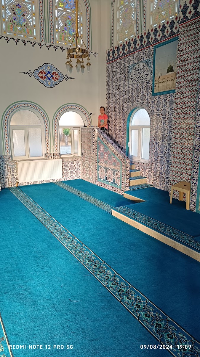 Çitgöl Kaplıcaları Simav Kütahya Türkiye — fotoğraf 5