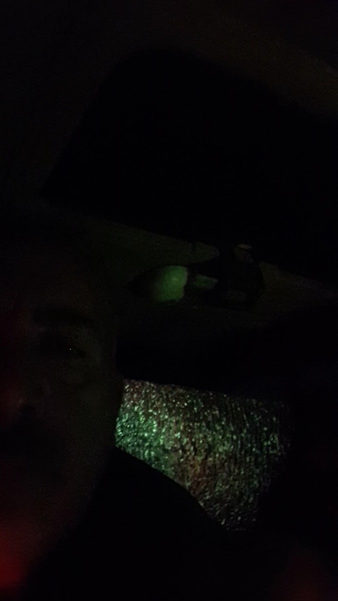 Çıtır Lahmacun/Pide/Kebap Abdullah Usta (Palandöken-Yıldızkent) — fotoğraf 3