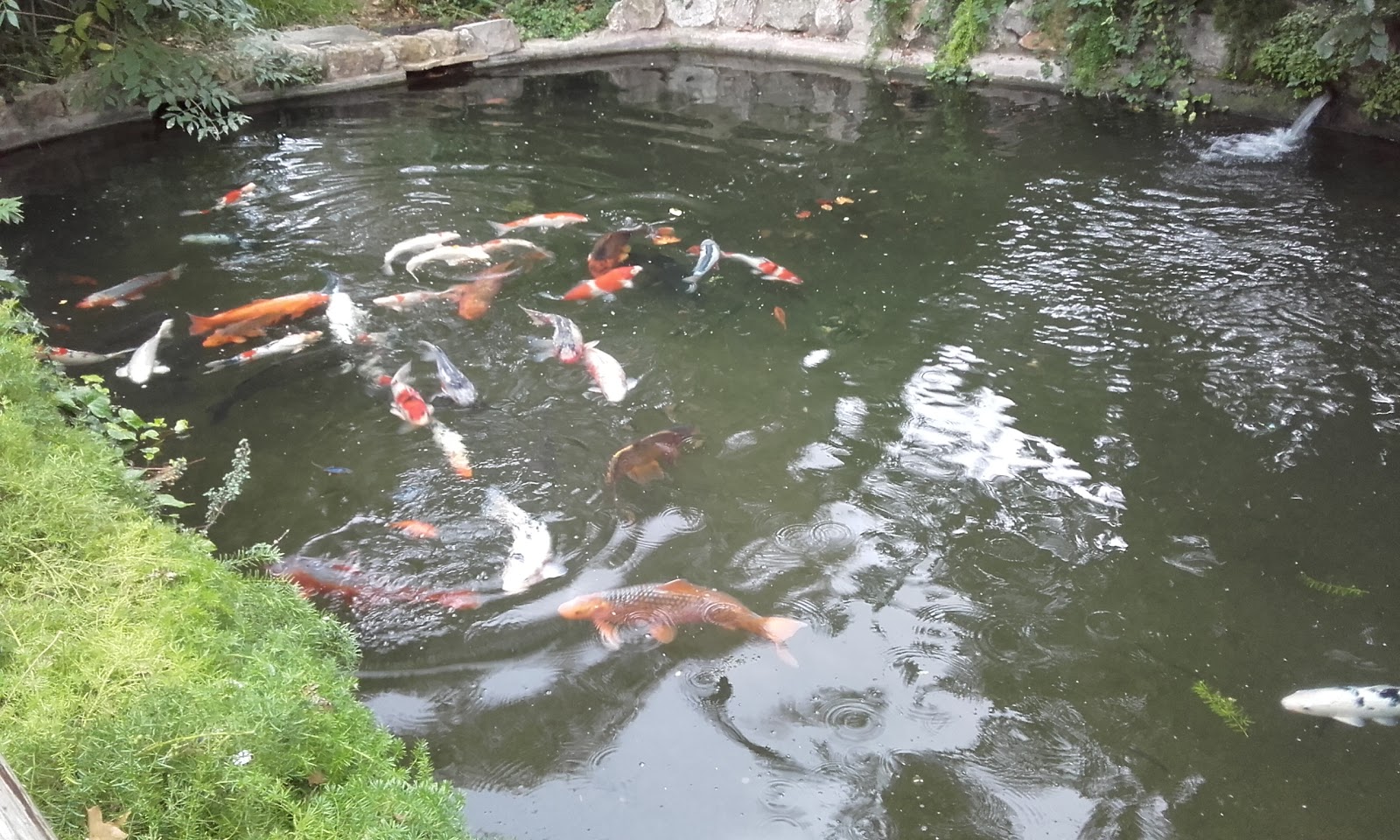 Ciutadella Parkı — photo 6