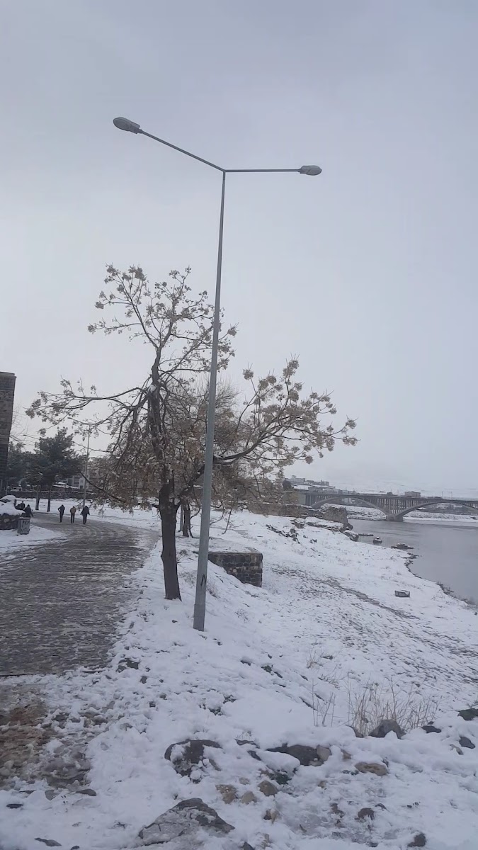 Cizre Kalesi — fotoğraf 3