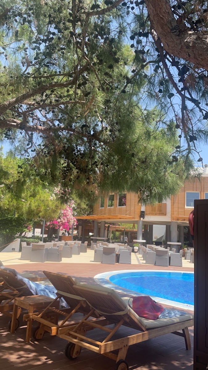 Club Med Bodrum Palmiye — photo 3