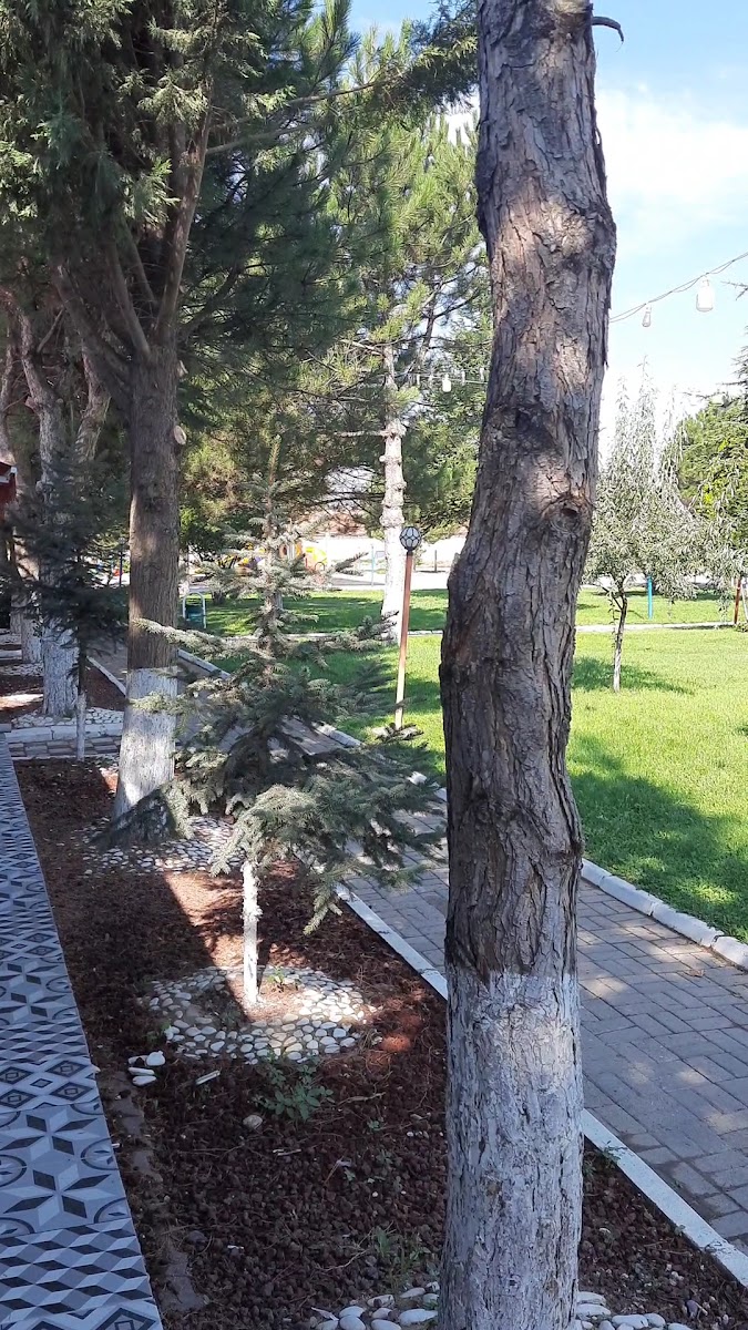 ÇOBANLAR BELEDİYESİ SOSYAL TESİSİ — photo 3