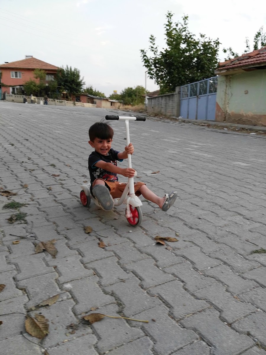 Çocuk Bahçesi — photo 2