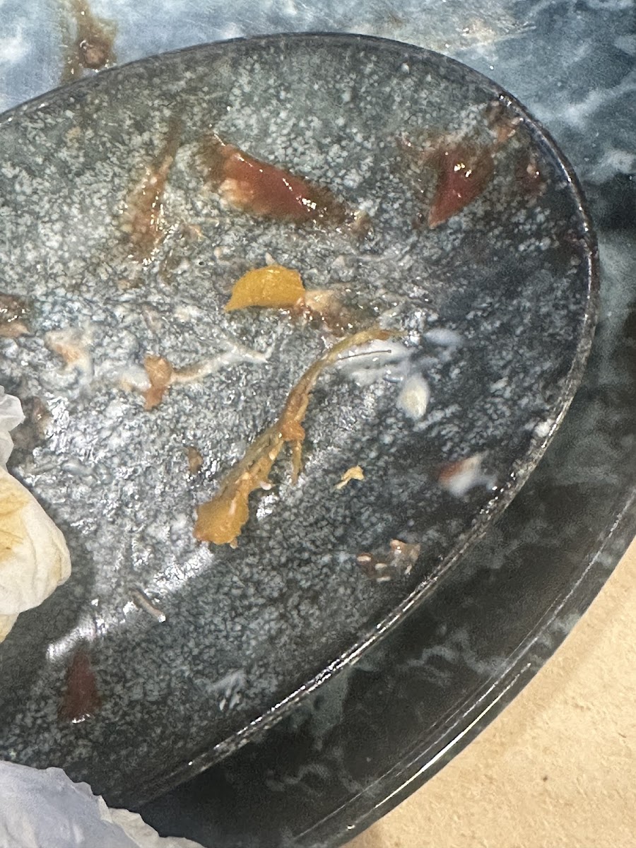 Coffee Dıne — fotoğraf 2