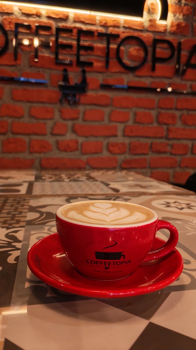 Coffeetopia — photo 5