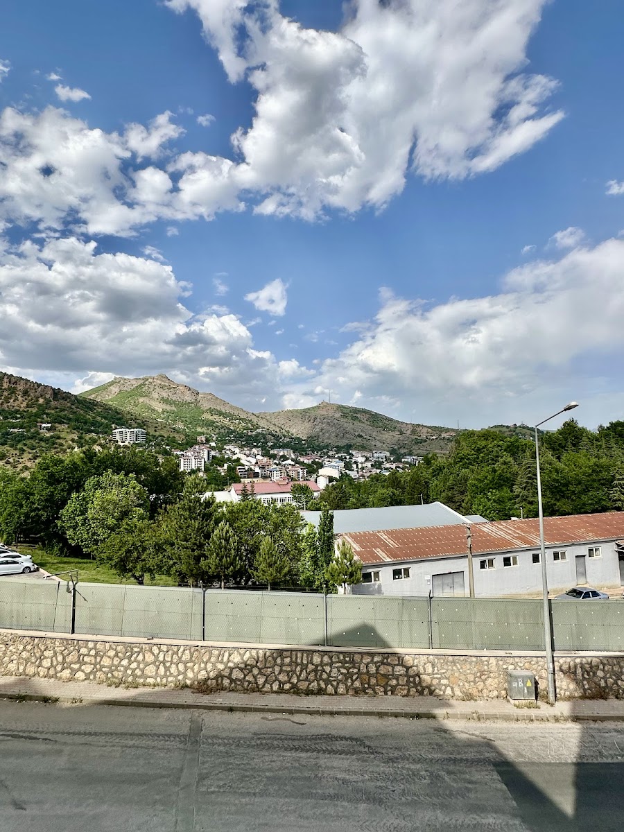 cömert hotel — fotoğraf 4