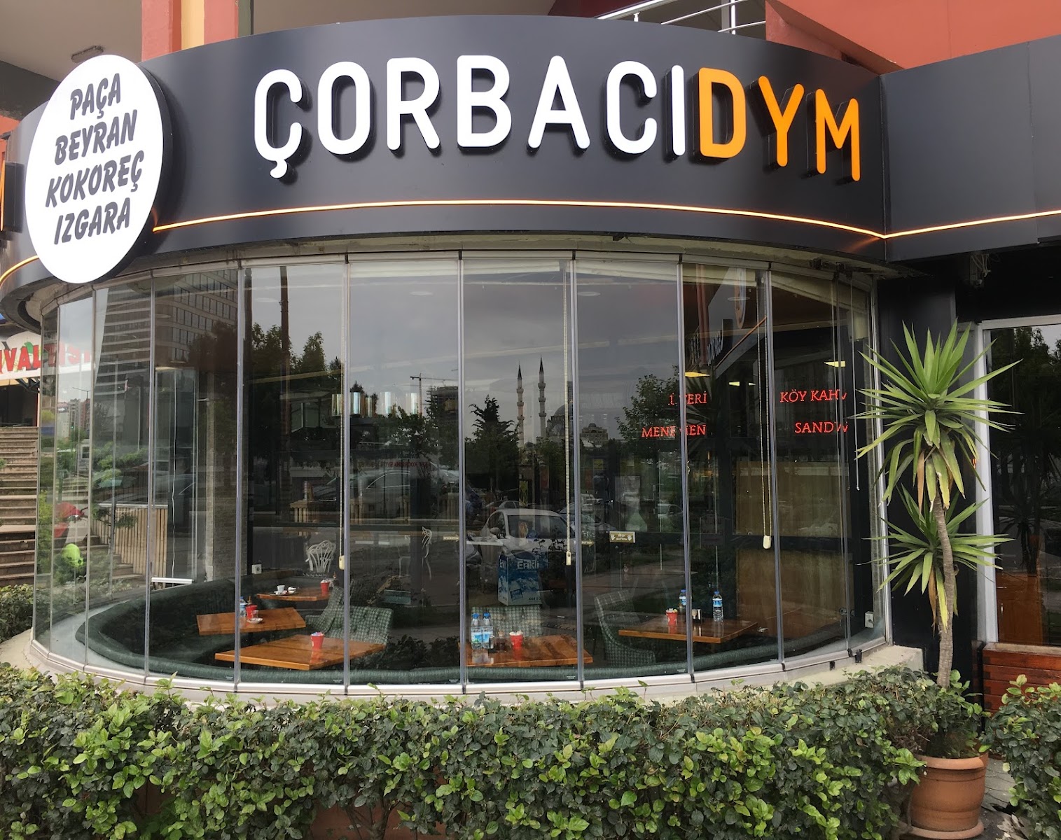 ÇorbacıDyz — fotoğraf 1