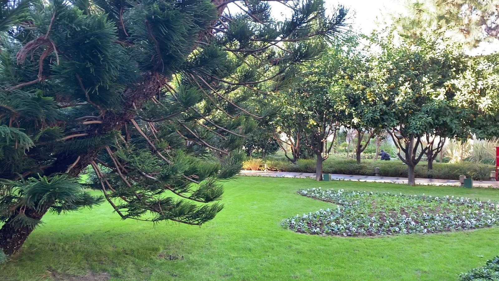 Cornelia Diamond Golf Resort & Spa — fotoğraf 5