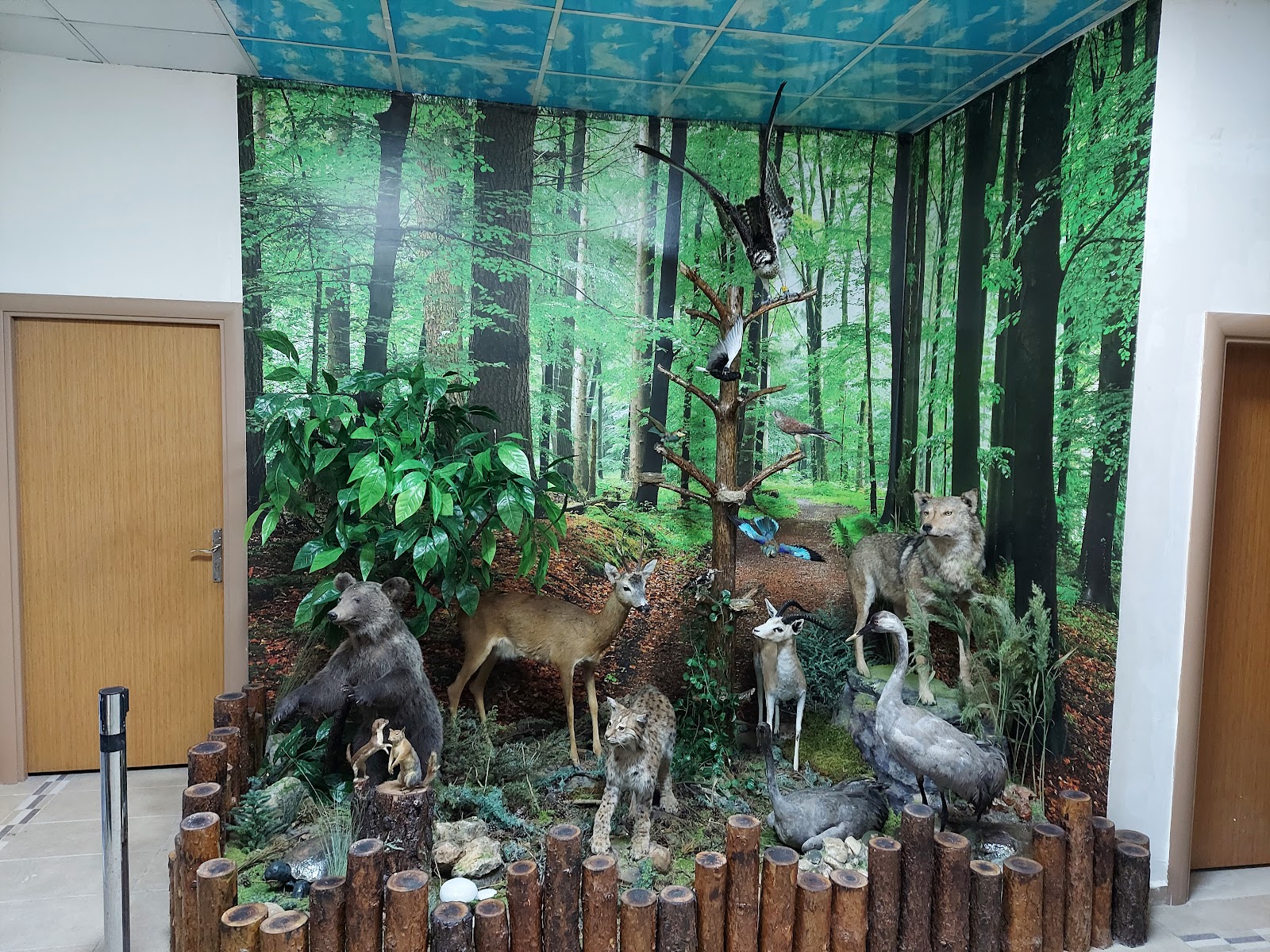 Çorum Doğa Koruma ve Milli Parklar Şube Müdürlüğü — fotoğraf 2