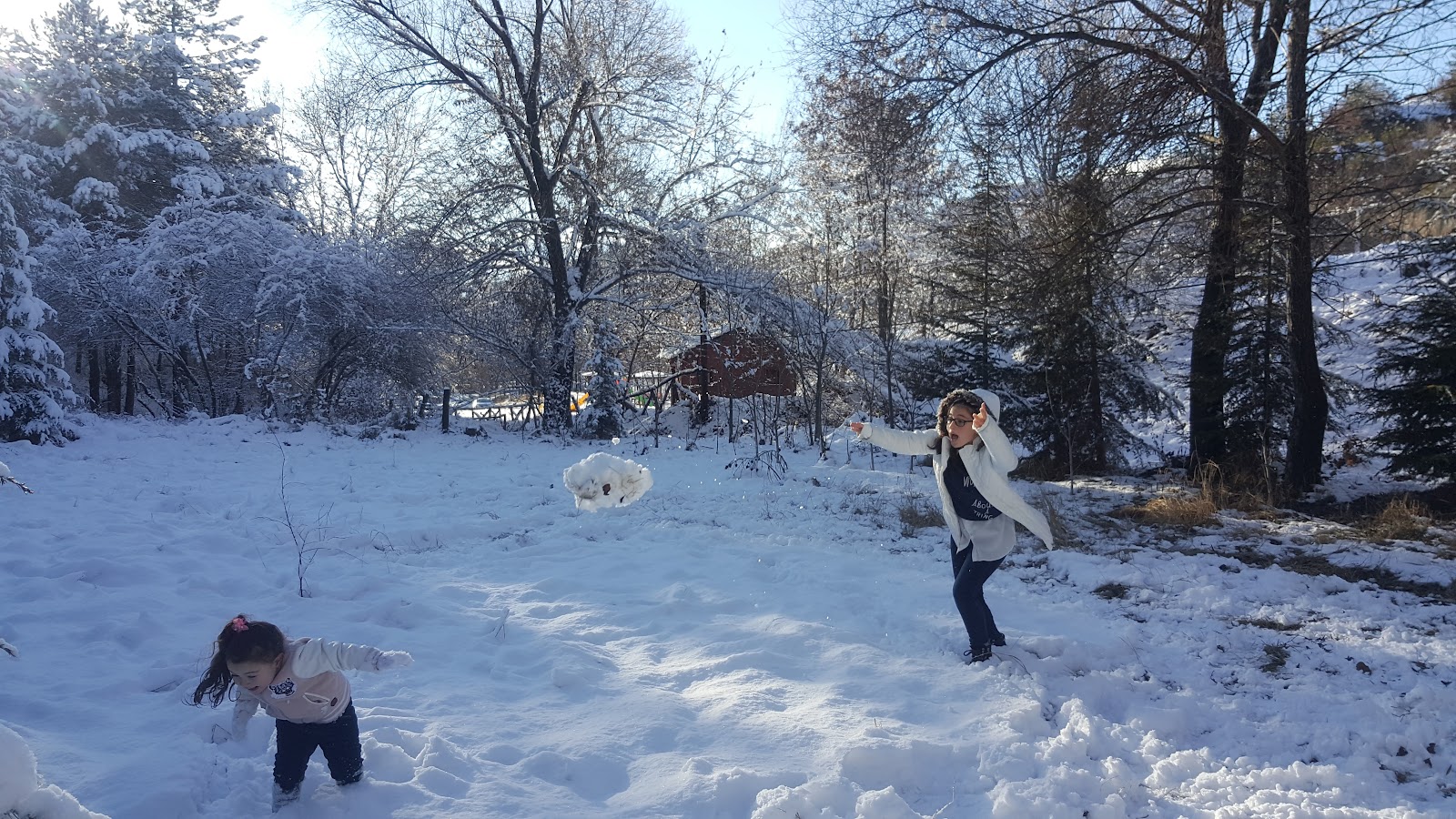 Çorum Kent Ormanı — fotoğraf 1