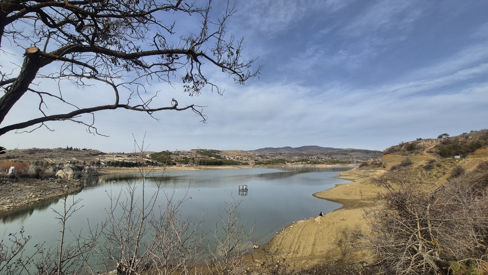 Çorum Lavanta Bahçesi — fotoğraf 2