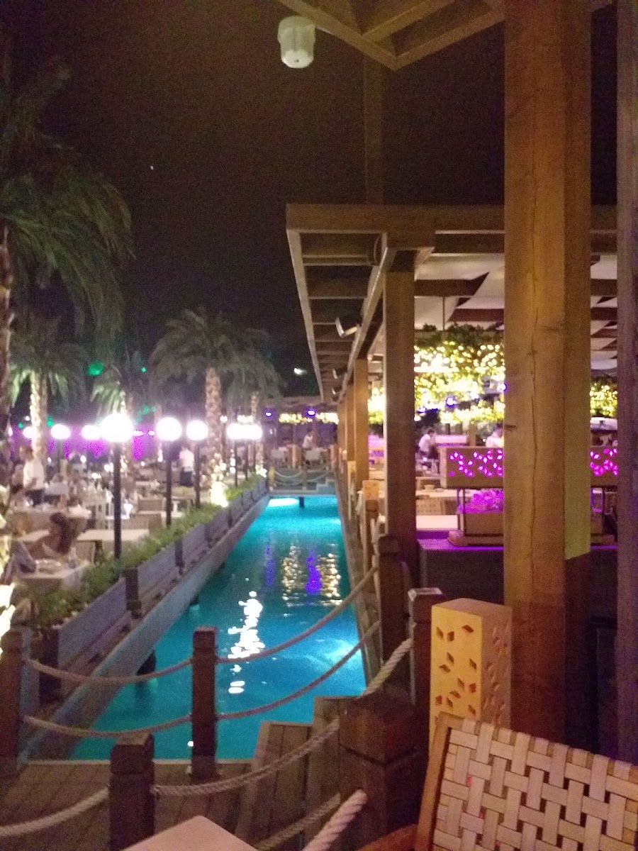 Cratos Coco Bongo Island — photo 4