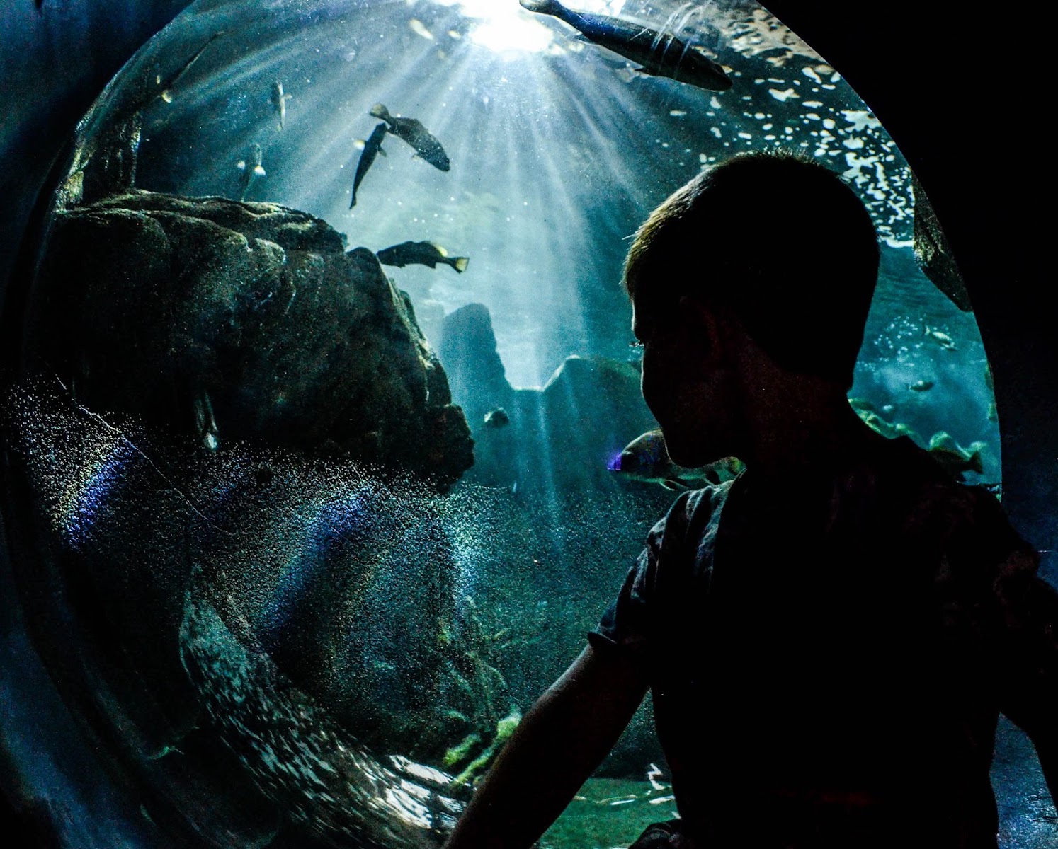 CRETAquarium Thalassokosmos — photo