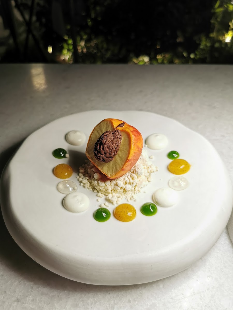 CTC Urban Gastronomy — photo 11