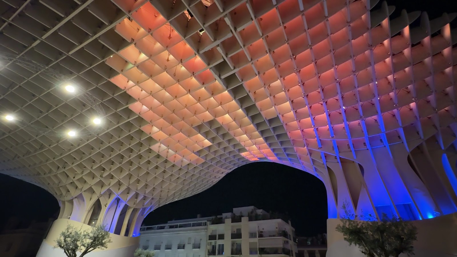 Cubierta Setas — photo 3